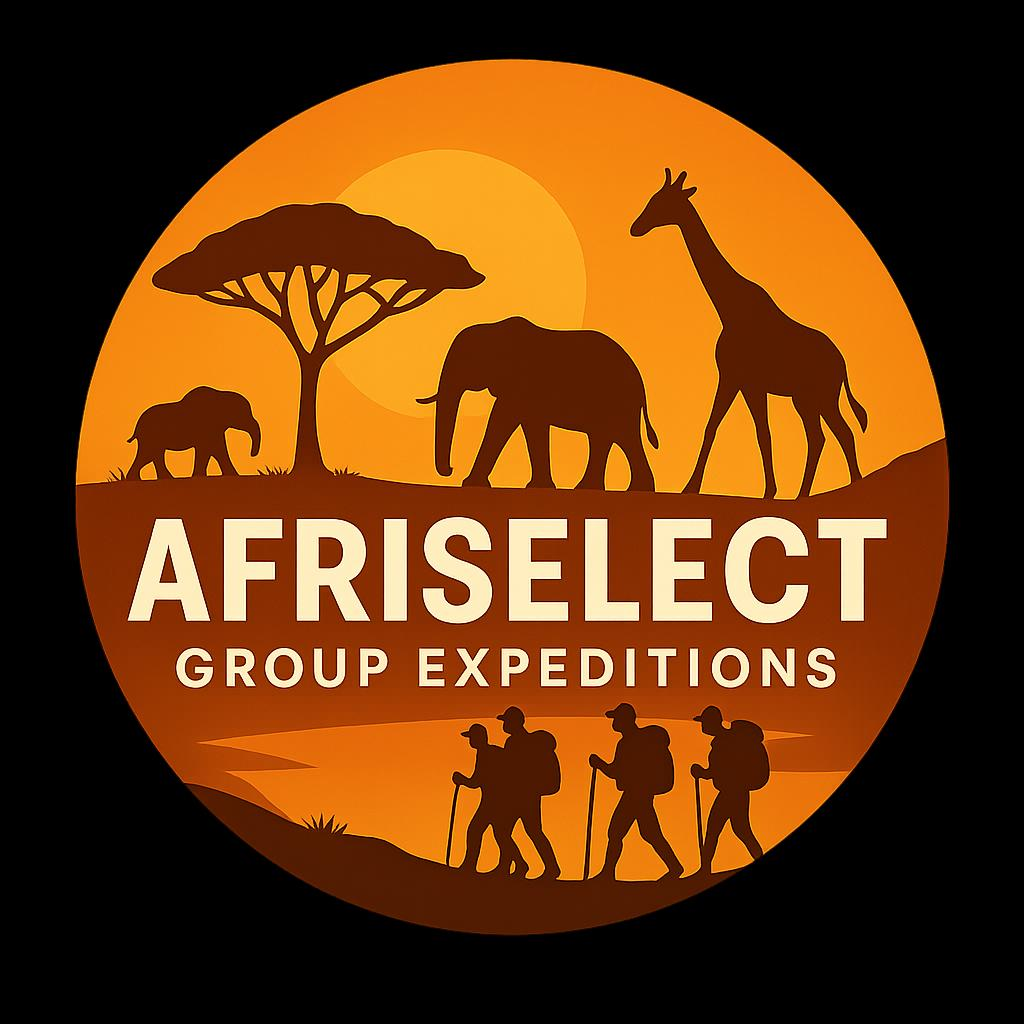 Afriselect Logo