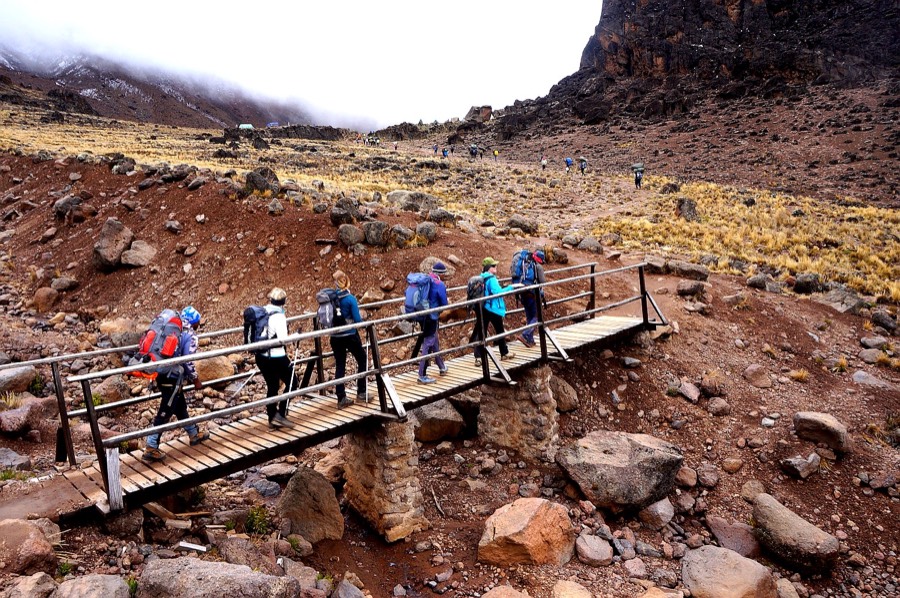 Kilimanjaro