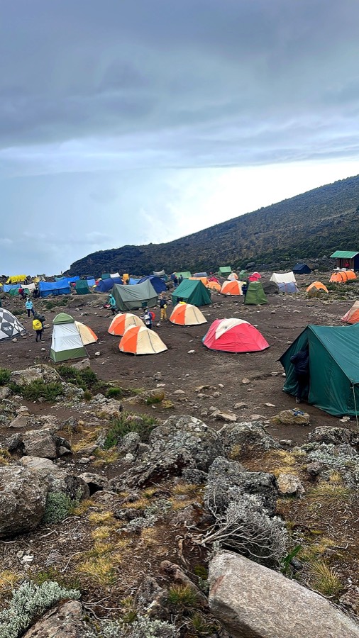 Kilimanjaro